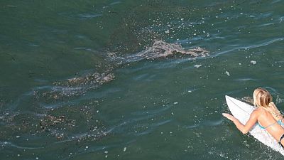 Alcaldesa de Huntington Beach dice derrame petróleo en California es una catástrofe ambiental