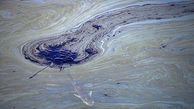 Un "catastrófico" vertido de petróleo en California mata a peces y daña humedales