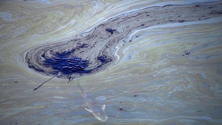 Un "catastrófico" vertido de petróleo en California mata a peces y daña humedales