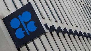 Casa Blanca mantiene su petición de que OPEP+ haga más por los precios del petróleo: funcionario