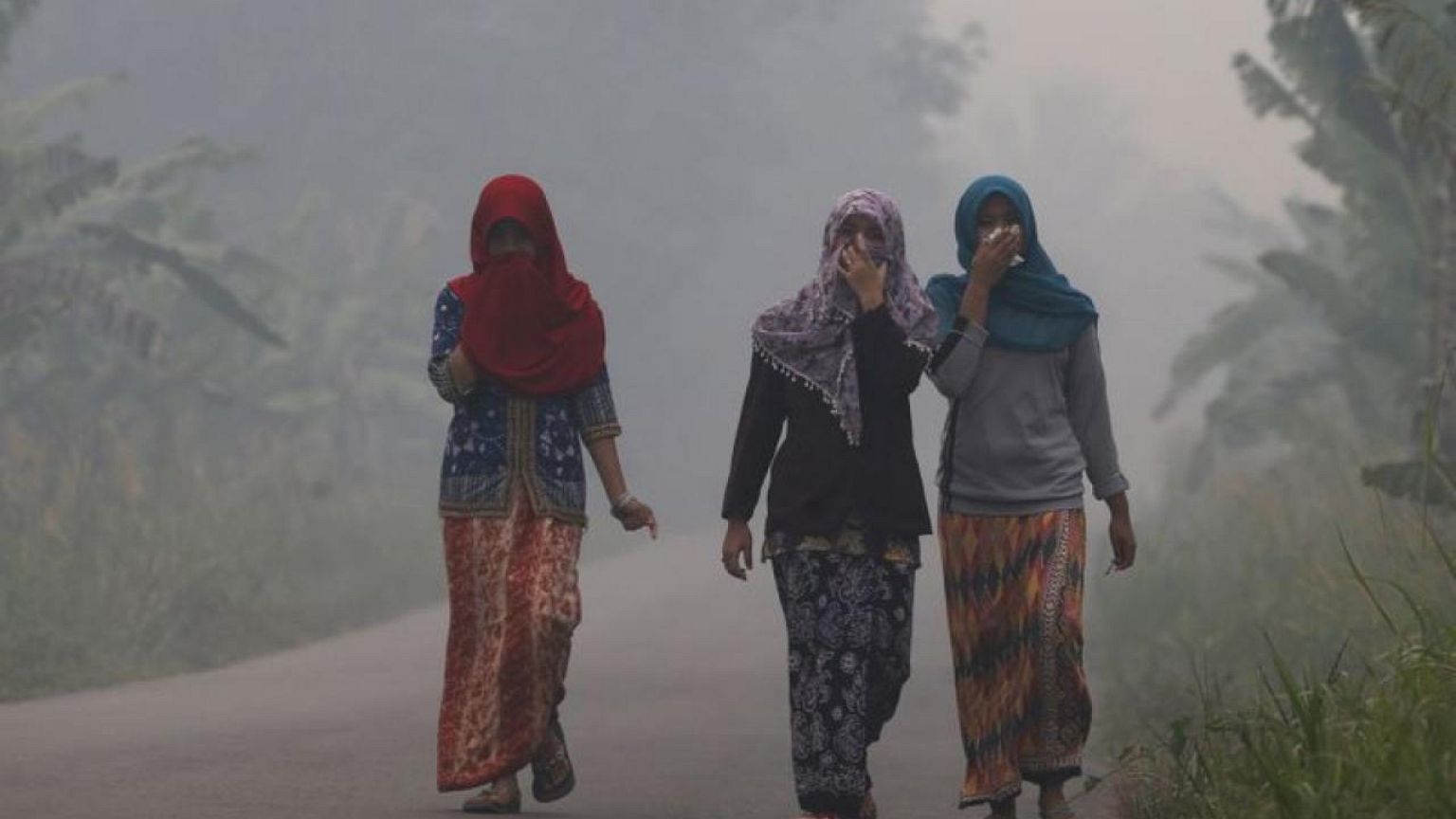 La ONU declara que el acceso a un medioambiente limpio es un derecho humano