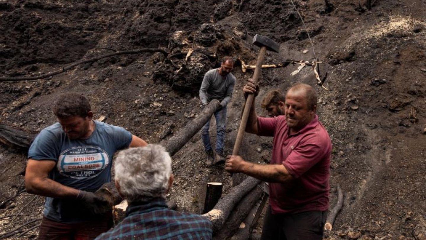 Greece: Forest Fire Destroys Jobs of Pine Resin Collectors