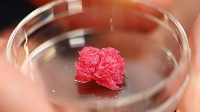 Japanese scientists work up an appetite for lab-grown Wagyu beef Japanese scientists work up an appetite for lab-grown Wagyu beef