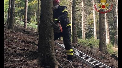 Comandante vigili fuoco, a termine entro la fine del mese Comandante vigili fuoco, a termine entro la fine del mese