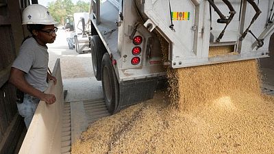 Soja cae a mínimos desde diciembre de 2020 por una producción mayor a la esperada