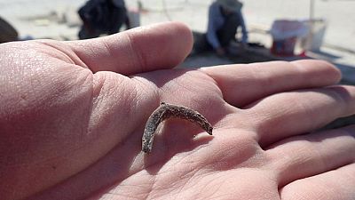 موقع في صحراء يوتا الأمريكية يكشف عن استخدام البشر للتبغ قبل 12300 عام