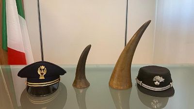 In buono stato di conservazione, pesano oltre due chilogrammi In buono stato di conservazione, pesano oltre due chilogrammi