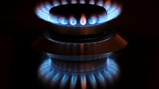 Alemania no sufre escasez en el suministro de gas, según el Gobierno