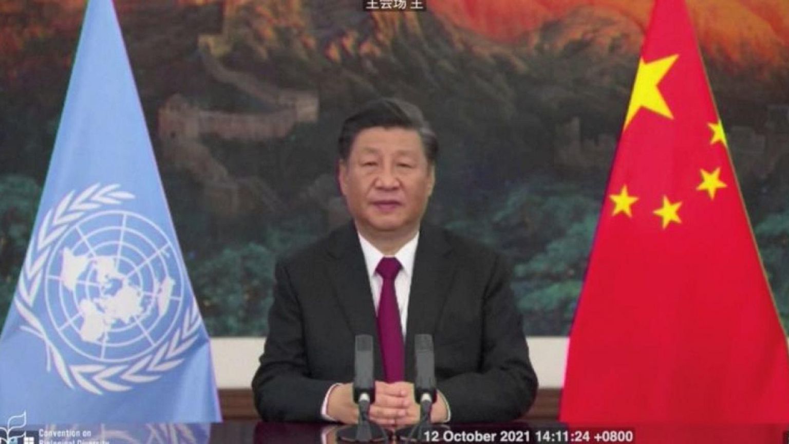 Countries call for urgent action on biodiversity with 'Kunming Declaration'