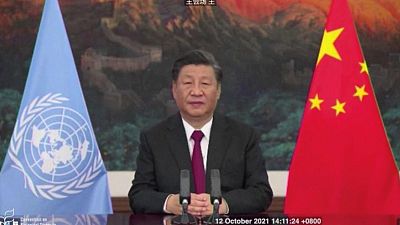 Countries call for urgent action on biodiversity with 'Kunming Declaration'