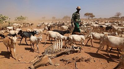 الجوع يهدد الملايين في شمال كينيا بسبب الجفاف