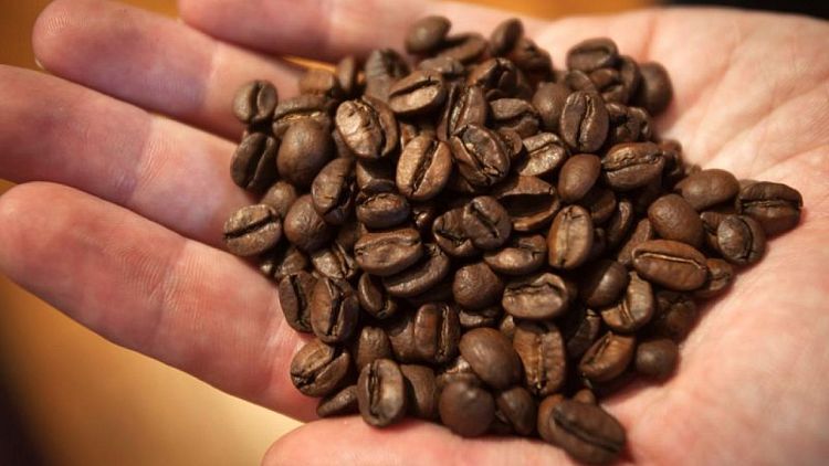 Shipping disruptions to keep coffee prices high for longer, say experts