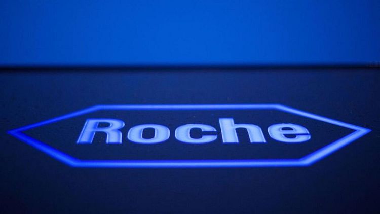 Roche family shareholders will maintain stability - vice chairman