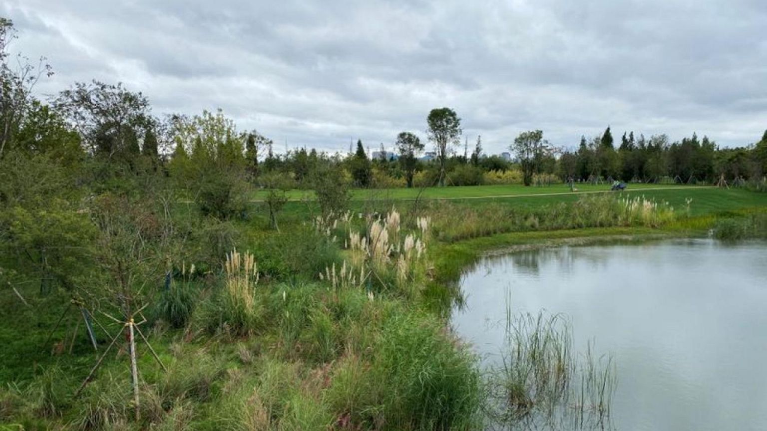 Una "montaña de cemento": Los retos de la biodiversidad china más allá de la cumbre de la ONU