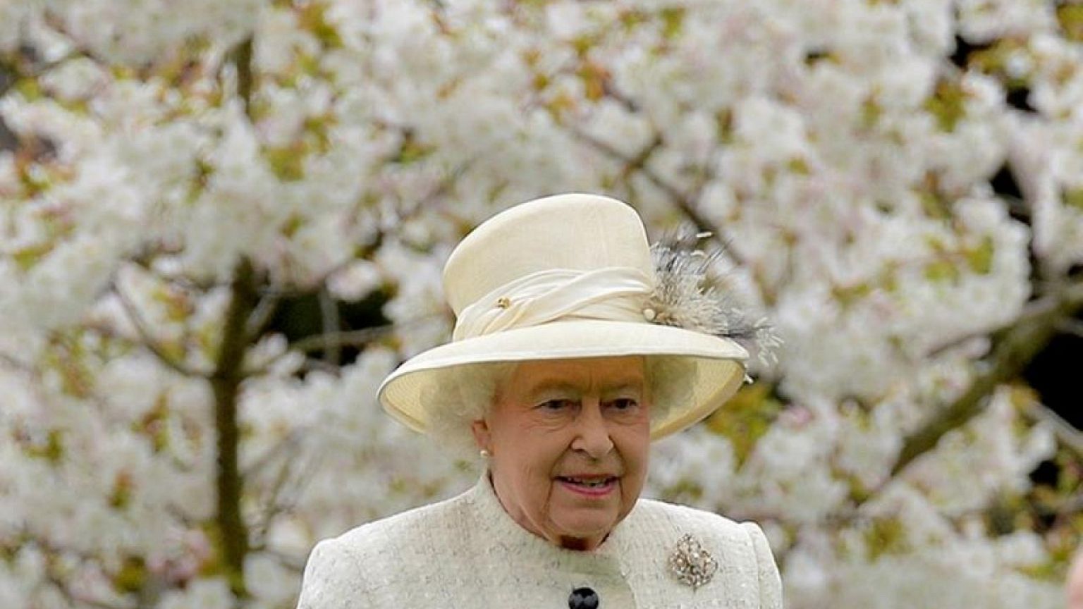 Queen Elizabeth was 'very well' when I saw her last week, UK's Johnson says