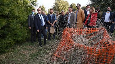 "avrò nuovo colloquio con Raggi per candidatura Expo" "avrò nuovo colloquio con Raggi per candidatura Expo"