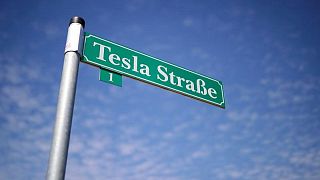 La planta de Tesla en Alemania queda en espera mientras se repite la consulta pública