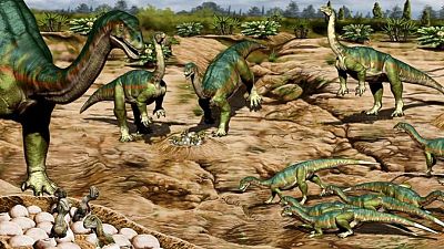 Patagonian fossils show Jurassic dinosaur had the herd mentality
