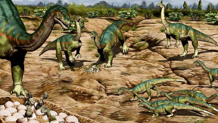 Patagonian fossils show Jurassic dinosaur had the herd mentality