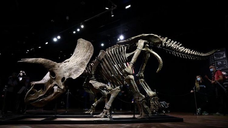 بيع رفات الديناصور "جون الكبير" في مزاد بأكثر من 7.5 مليون دولار