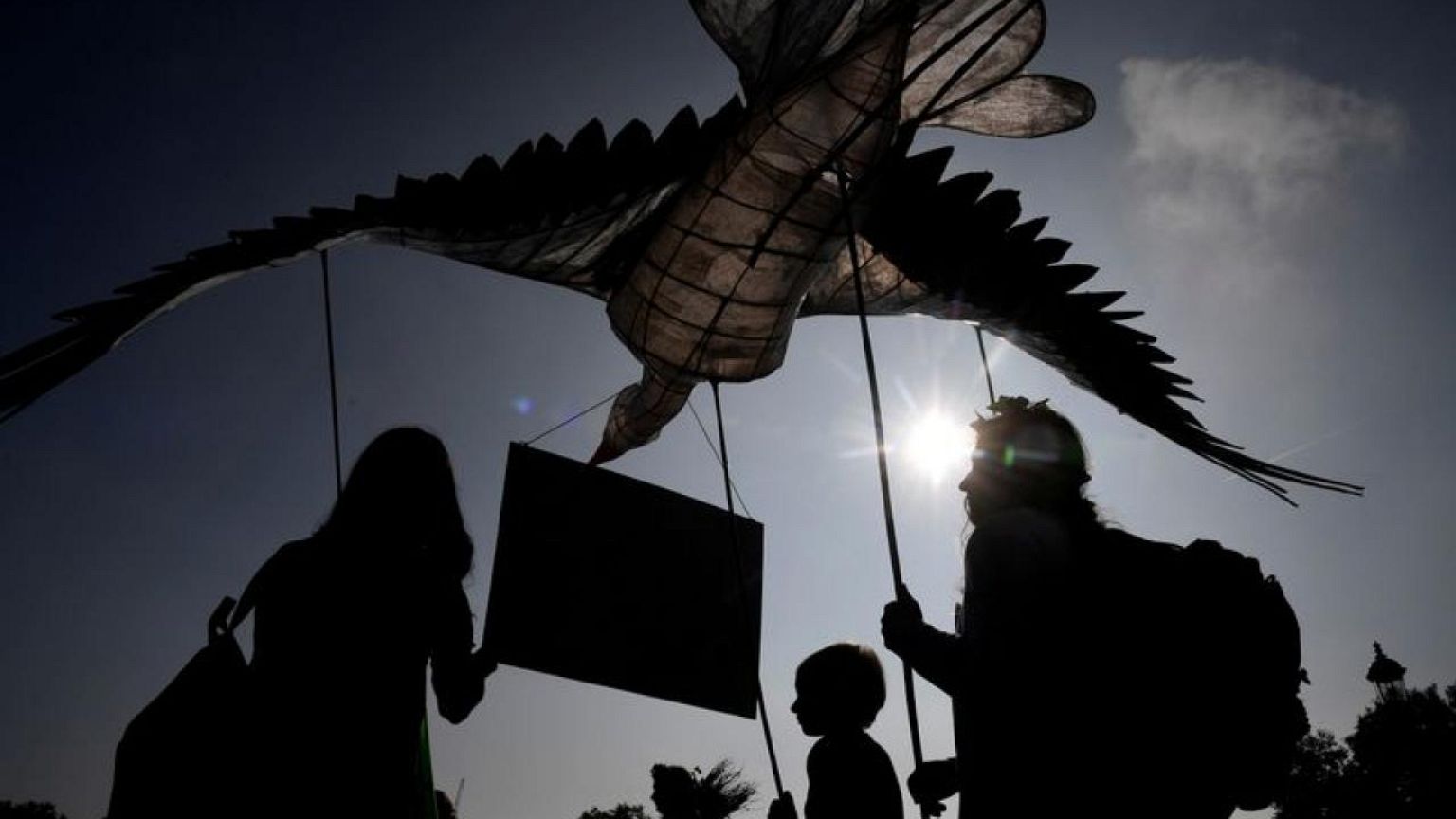 Guilt, grief and anxiety as young people fear for climate's future