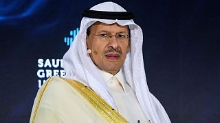 وزير الطاقة: السعودية قد تصل إلى هدف صافي صفر انبعاثات كربونية قبل 2060
