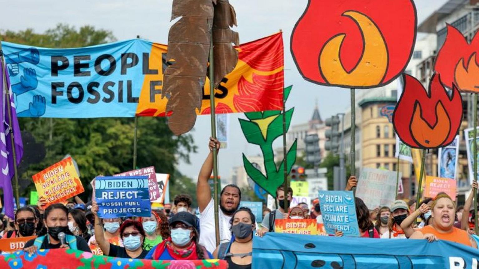 Climate inaction costlier than net zero transition - economists