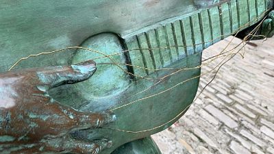 Ignoti hanno sradicato corde chitarra rimaste piegate e appese Ignoti hanno sradicato corde chitarra rimaste piegate e appese