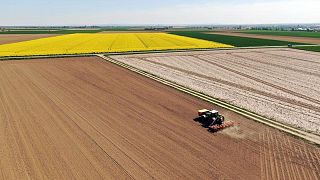 Ente de control de cultivos de la UE prevé cosecha y siembra de otoño favorables
