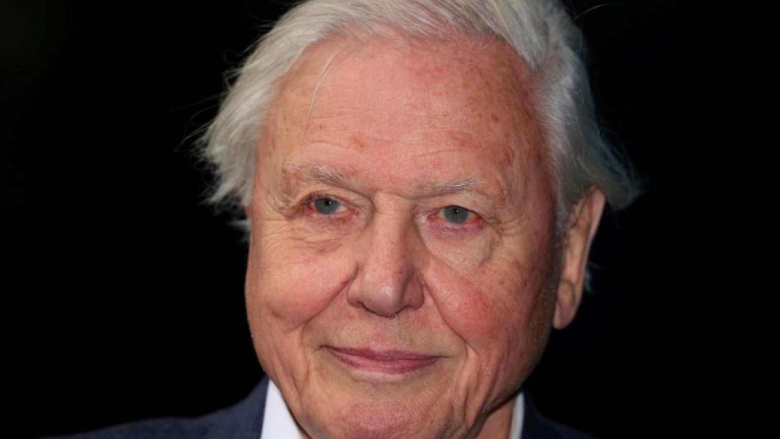 El naturalista David Attenborough advierte que cada día de inacción climática es "un día perdido"