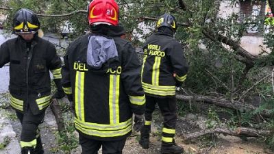 Interventi dei vigili del fuoco per alberi e cartelli caduti Interventi dei vigili del fuoco per alberi e cartelli caduti