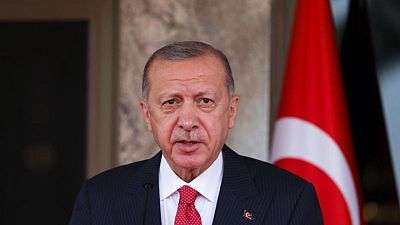 Erdogan chairs Turkish cabinet to discuss expulsion of envoys