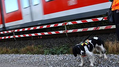 German dogs to sniff out wildlife at building sites to speed up work