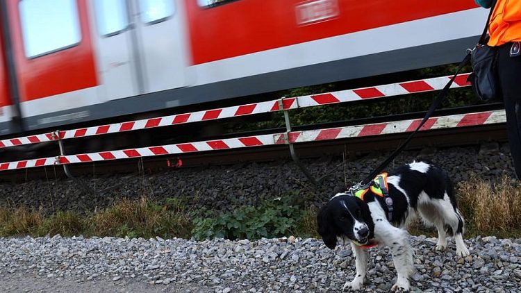 German dogs to sniff out wildlife at building sites to speed up work
