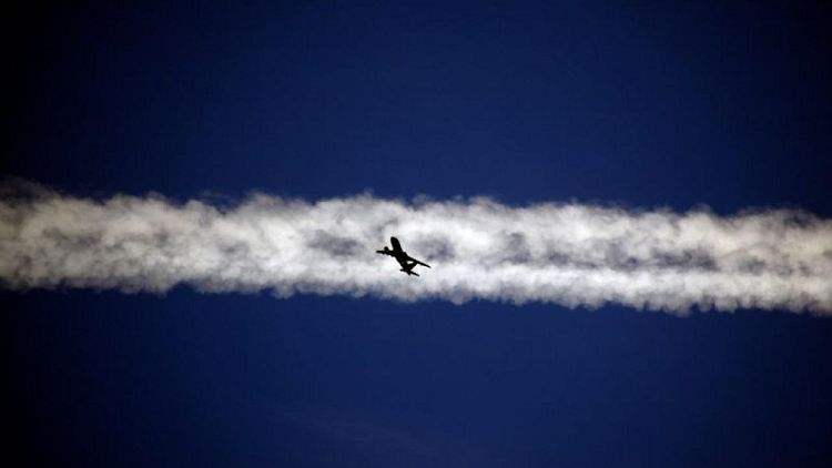 Some airlines risk failure if they do not cut emissions faster - industry report