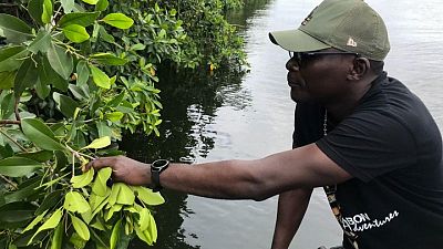 Gabón desentraña el misterio del carbono de sus poderosos manglares