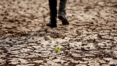 يلومون التغير المناخي .. مزارعو تركيا يحصون خسائر الجفاف