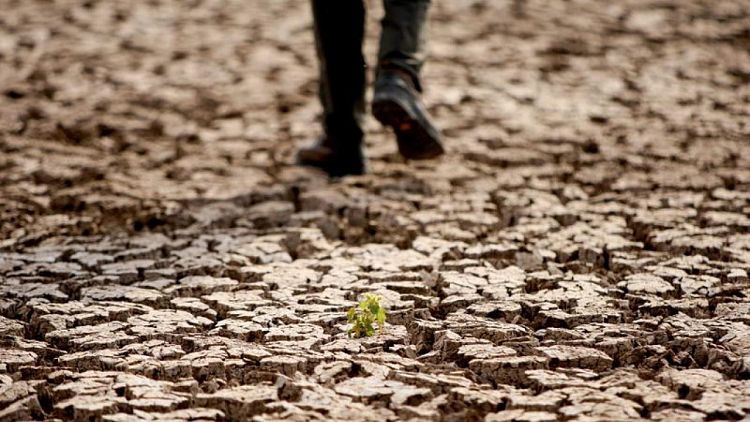 يلومون التغير المناخي .. مزارعو تركيا يحصون خسائر الجفاف