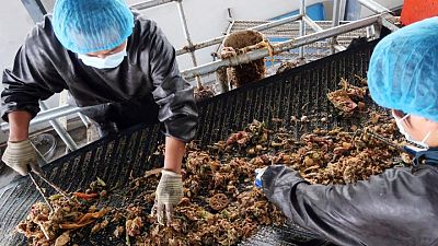 China to strengthen push to reduce food waste