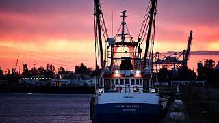 Francia libera el pesquero británico interceptado, según Reino Unido