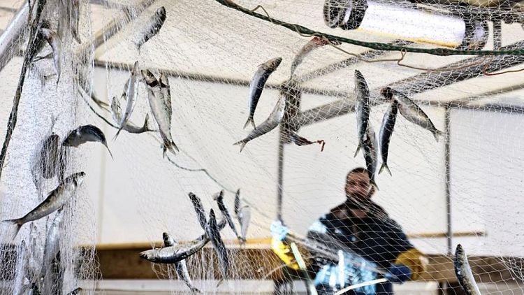 Francia dice que Reino Unido mostró un espíritu "constructivo" en conversaciones sobre la pesca tras el Brexit