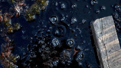 Nearly 90 countries join pact to slash planet-warming methane emissions Nearly 90 countries join pact to slash planet-warming methane emissions