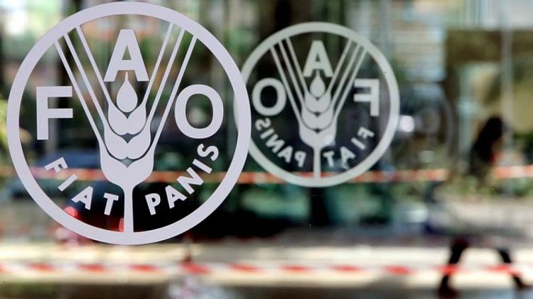 Los precios mundiales de los alimentos alcanzan en octubre un nuevo máximo de 10 años -FAO