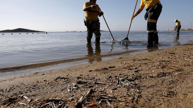 España promete 441 millones de dólares para limpiar el Mar Menor de Murcia