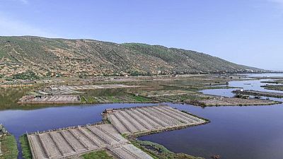 Tunisia's lagoon farmers cling on as sea level rises Tunisia's lagoon farmers cling on as sea level rises