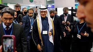Arabia saudí pide no evitar ninguna energía en particular en la lucha climática