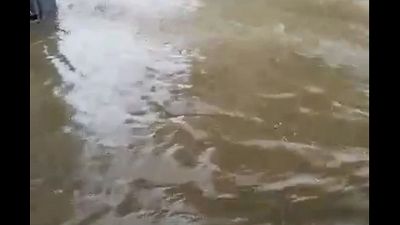Avviso Protezione civile per domani, ancora temporali Avviso Protezione civile per domani, ancora temporali