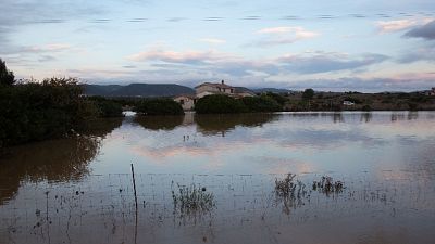 Otto bombe d'acqua in un giorno, agricoltori in ginocchio Otto bombe d'acqua in un giorno, agricoltori in ginocchio