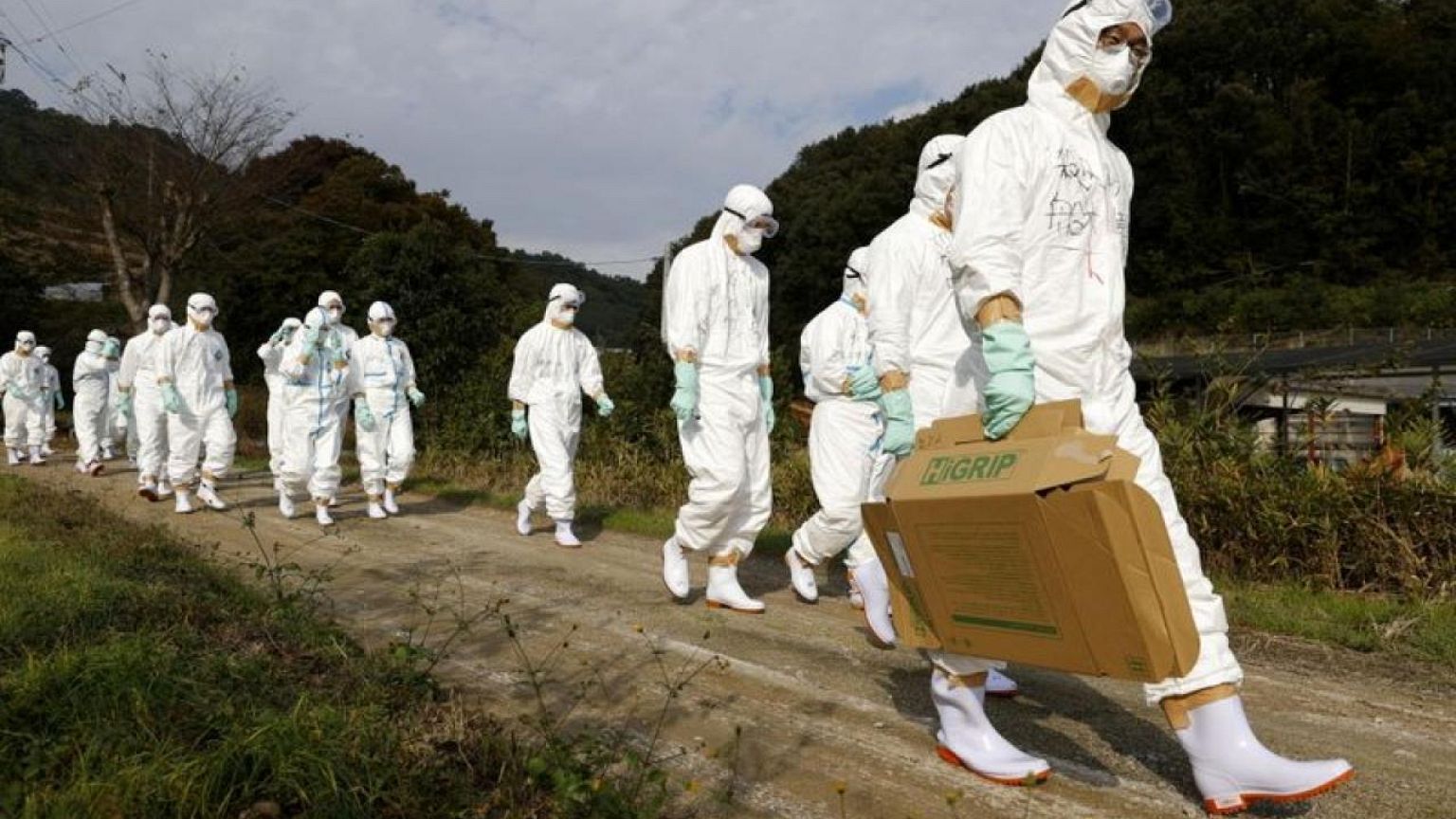 La gripe aviar se extiende por Europa y Asia