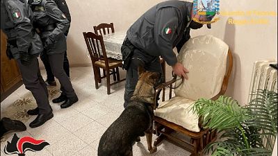 Operazione di Cc e Gdf tra Reggio Emilia, Parma e Crotone Operazione di Cc e Gdf tra Reggio Emilia, Parma e Crotone